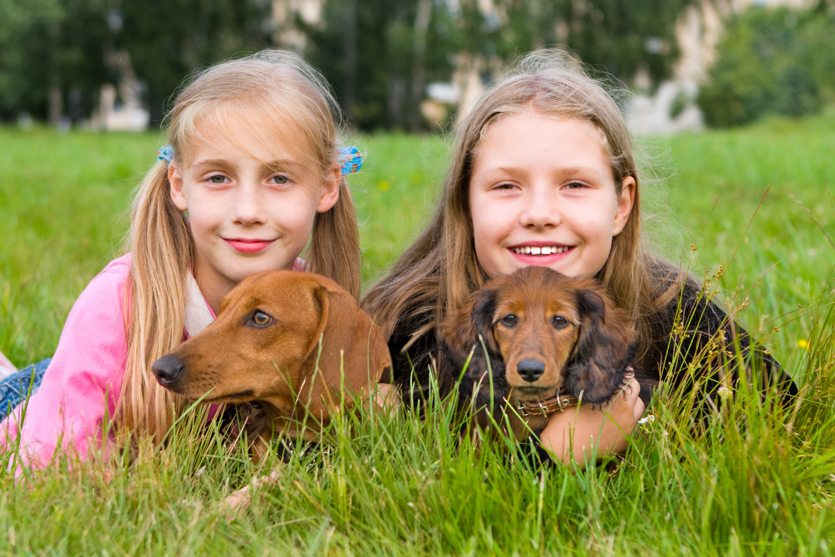 Selbstständigkeit bei Kindern fördern: Mädchen liegen mit ihren Hunden auf der Wiese