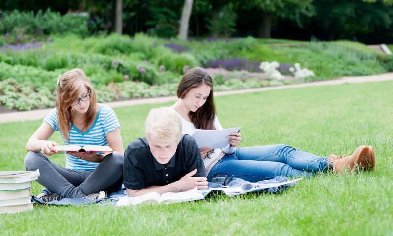 Draußen lernen: Tenager lernen zusammen im Park