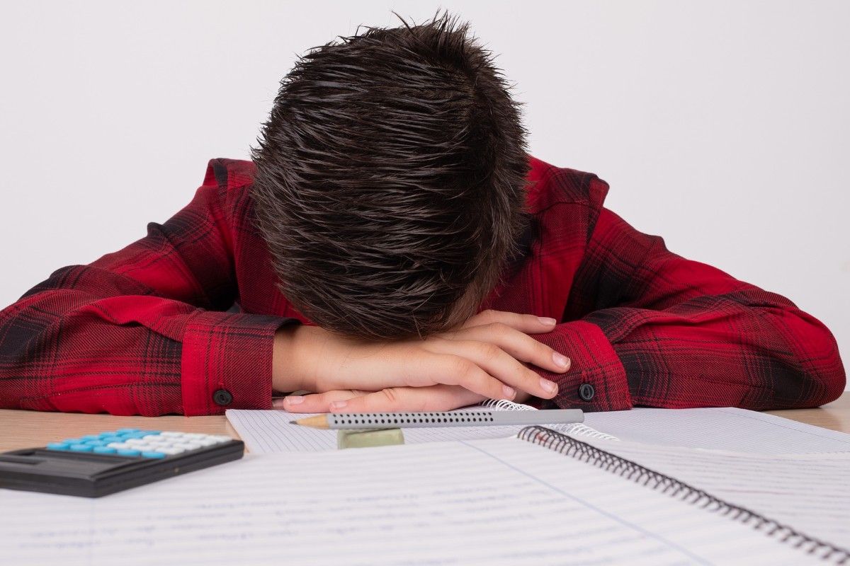 Halbschriftliches Multiplizieren erklärt – Kein Stress mehr in der Schule!