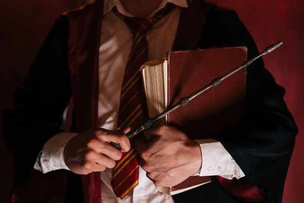 Harry Potter, Harry hält Zauberstab und Buch