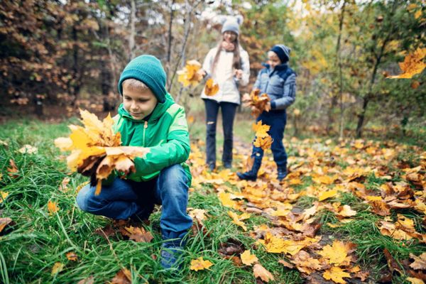 Aktivitaeten-im-Herbst-Familie-im-Wald.