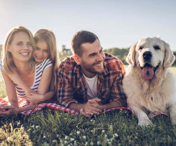 Haustiere-f-r-Kinder_Familie-drau-en-mit-Hund